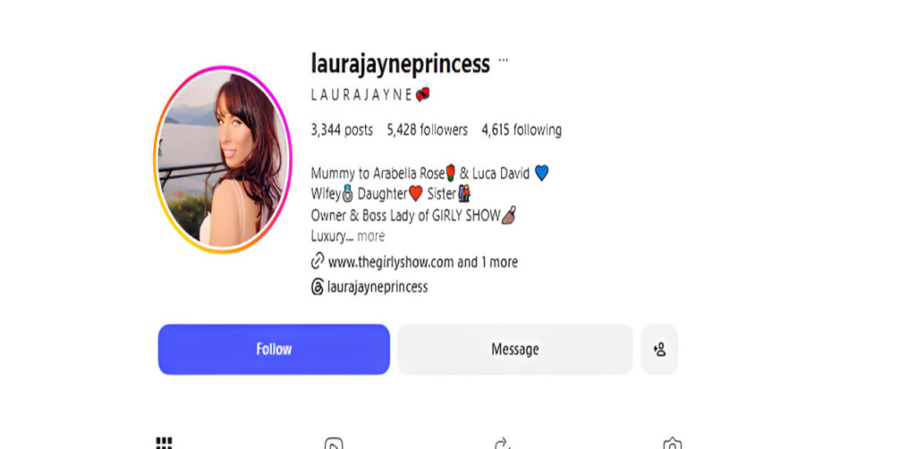 Example of an aesthetic Instagram profile showing a creative username, bio with emojis, and profile layout.