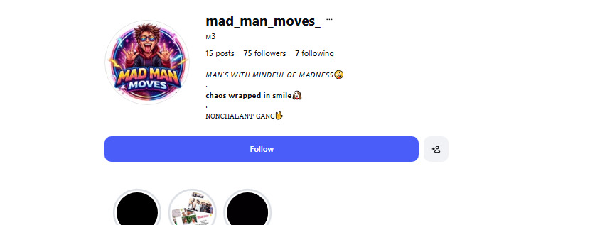 Example of a cool and funny Instagram profile with a unique handle mad_man_moves