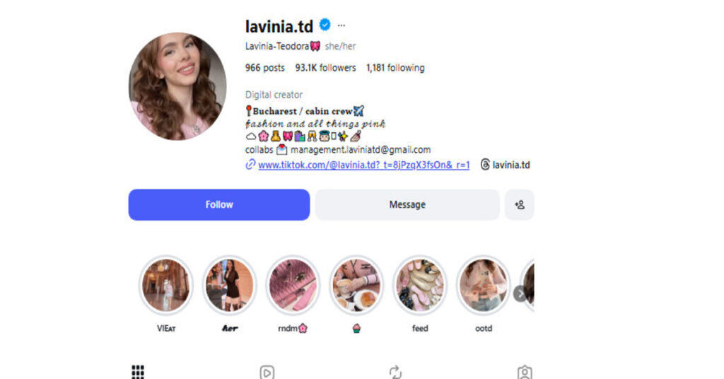 A screenshot of a professional Instagram bio for a digital creator featuring a custom font description, pink aesthetic symbols, and highlight covers.